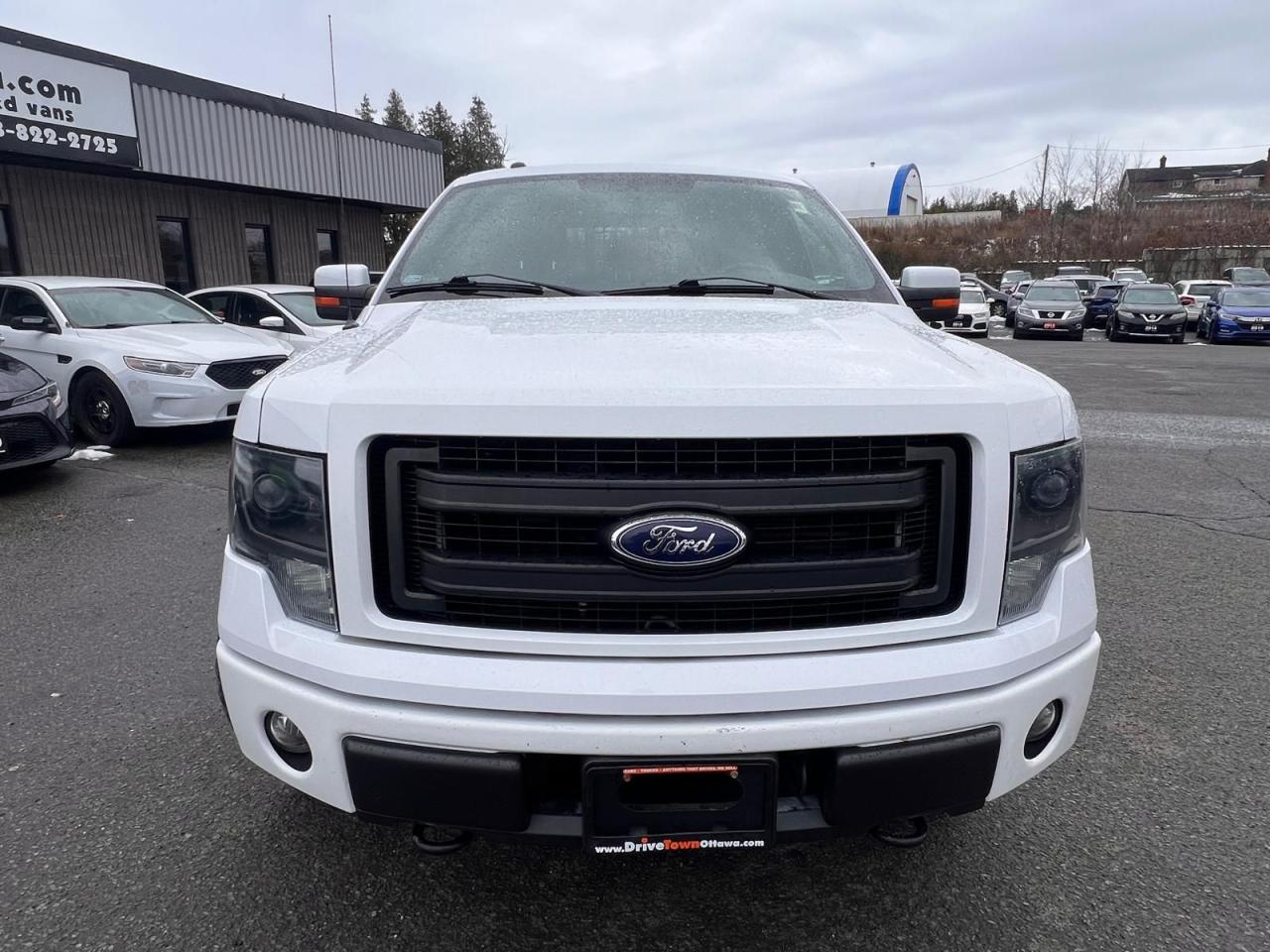 2014 Ford F-150 FX4 - Photo #8