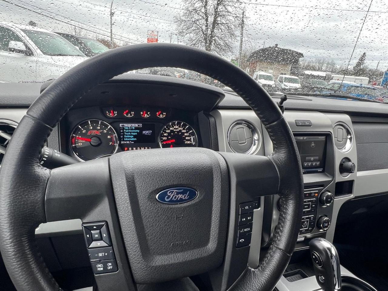 2014 Ford F-150 FX4 - Photo #13