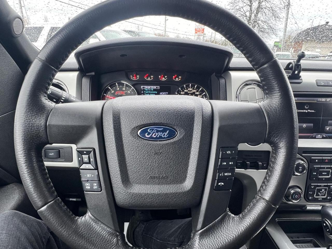 2014 Ford F-150 FX4 - Photo #14