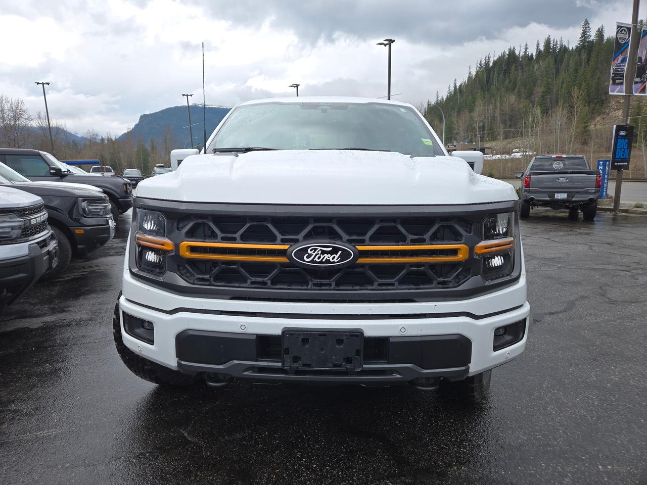 2026 Ford F-150 Tremor Photo2