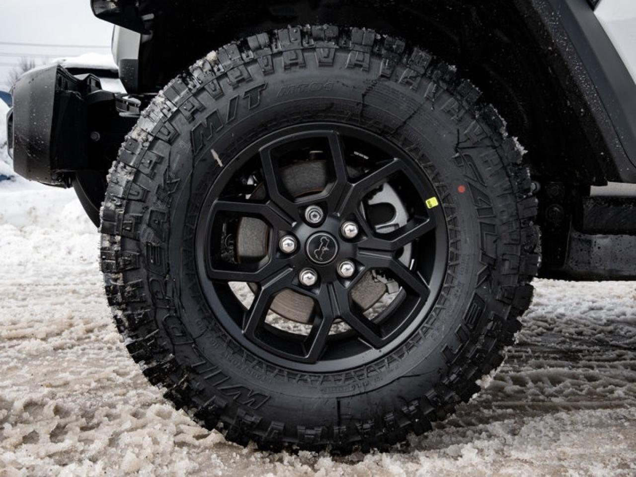 2026 Jeep Wrangler Willys Photo