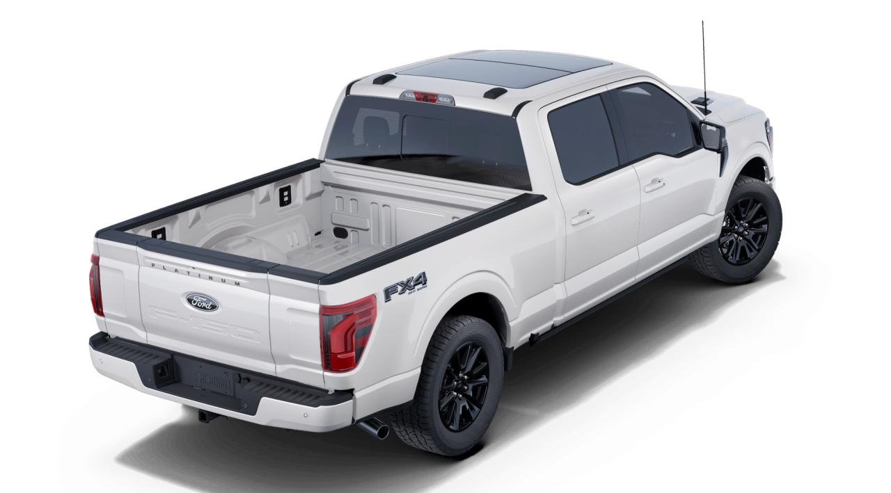 2025 Ford F-150 PLATINUM 4WD SUPERCREW 6.5' BOX Photo5