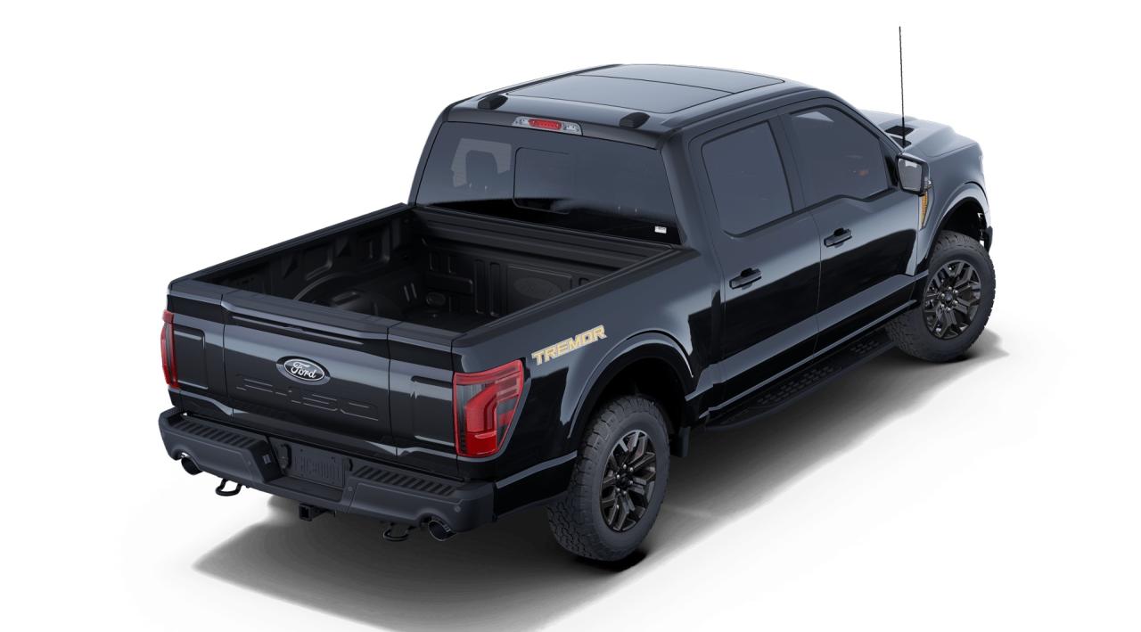 2025 Ford F-150 Tremor 4WD SuperCrew 5.5' Box Photo