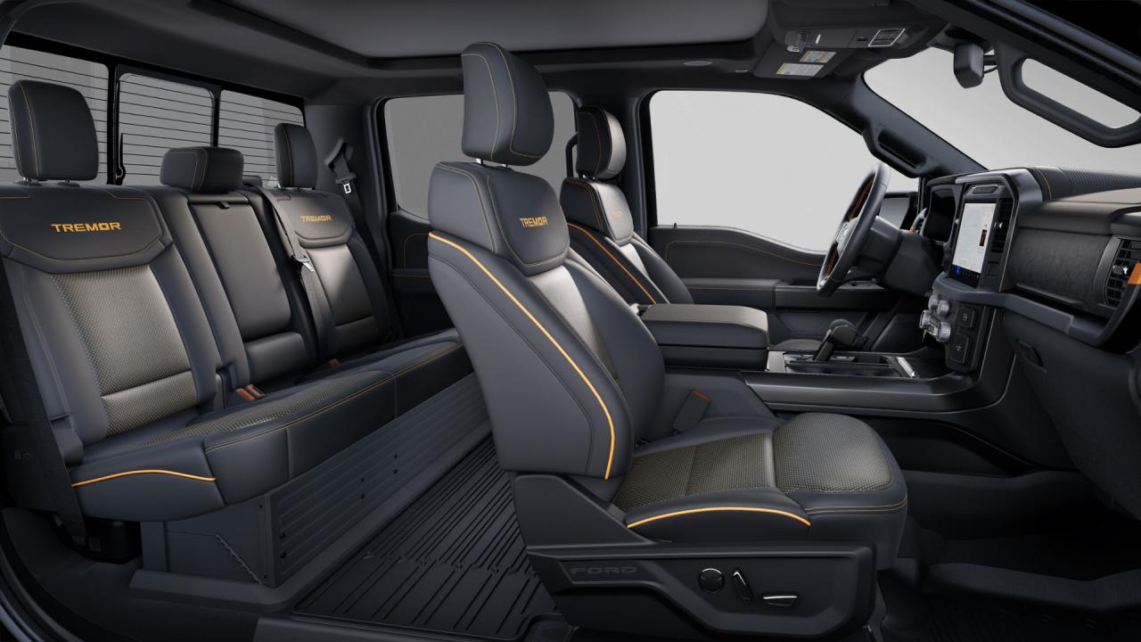 2025 Ford F-150 Tremor 4WD SuperCrew 5.5' Box Photo5