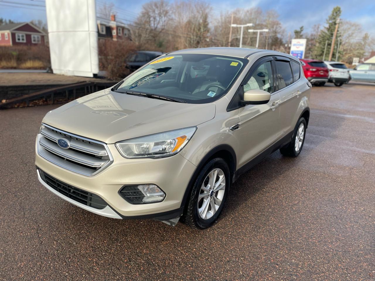 2017 Ford Escape SE Photo2