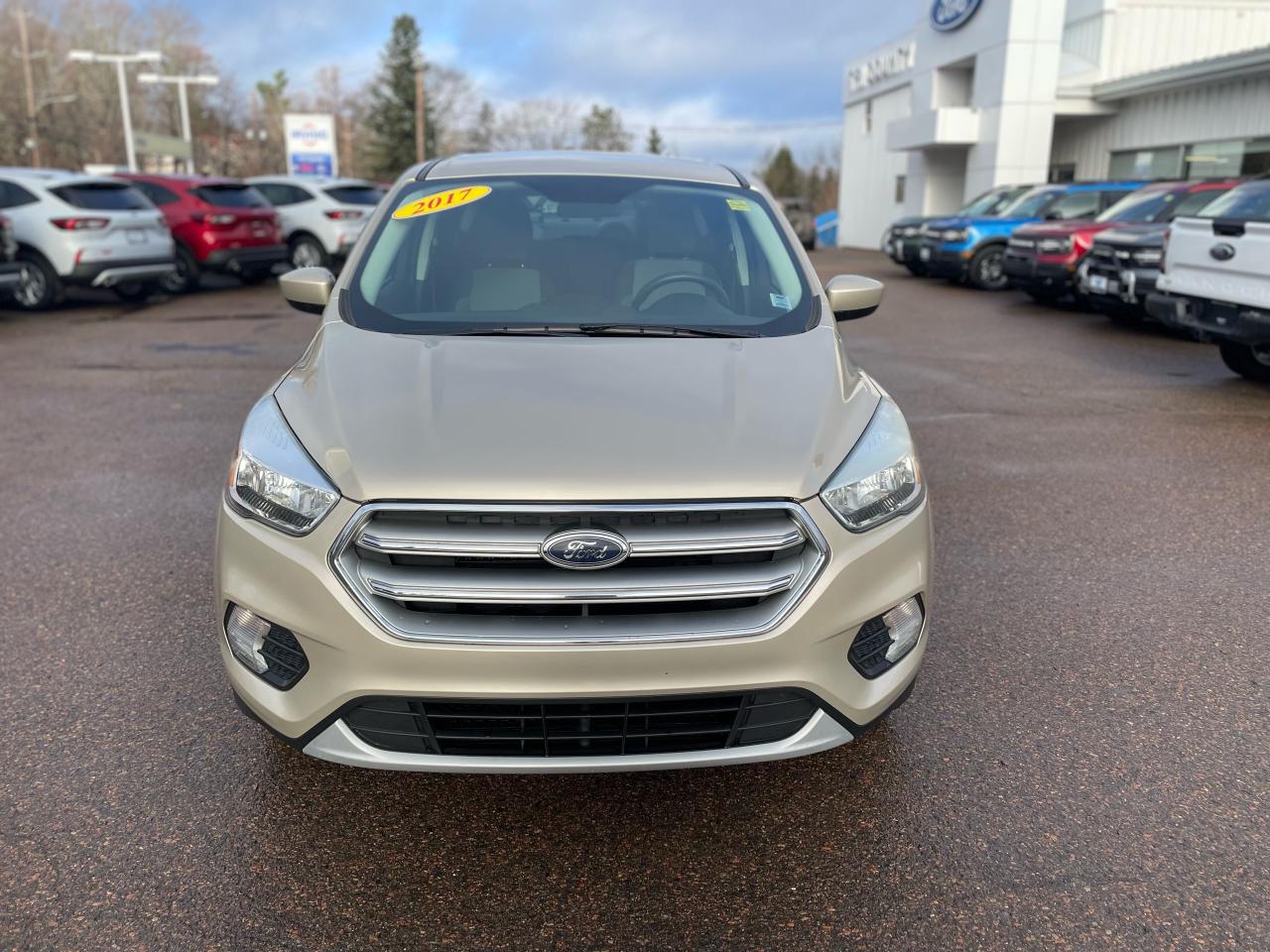 2017 Ford Escape SE Photo1