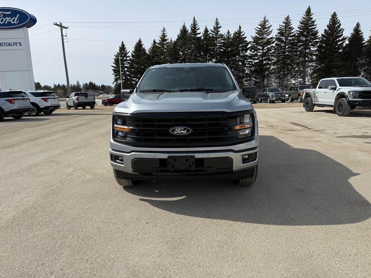 2026 Ford F-150 XLT 4WD SuperCrew 5.5' Box Photo2
