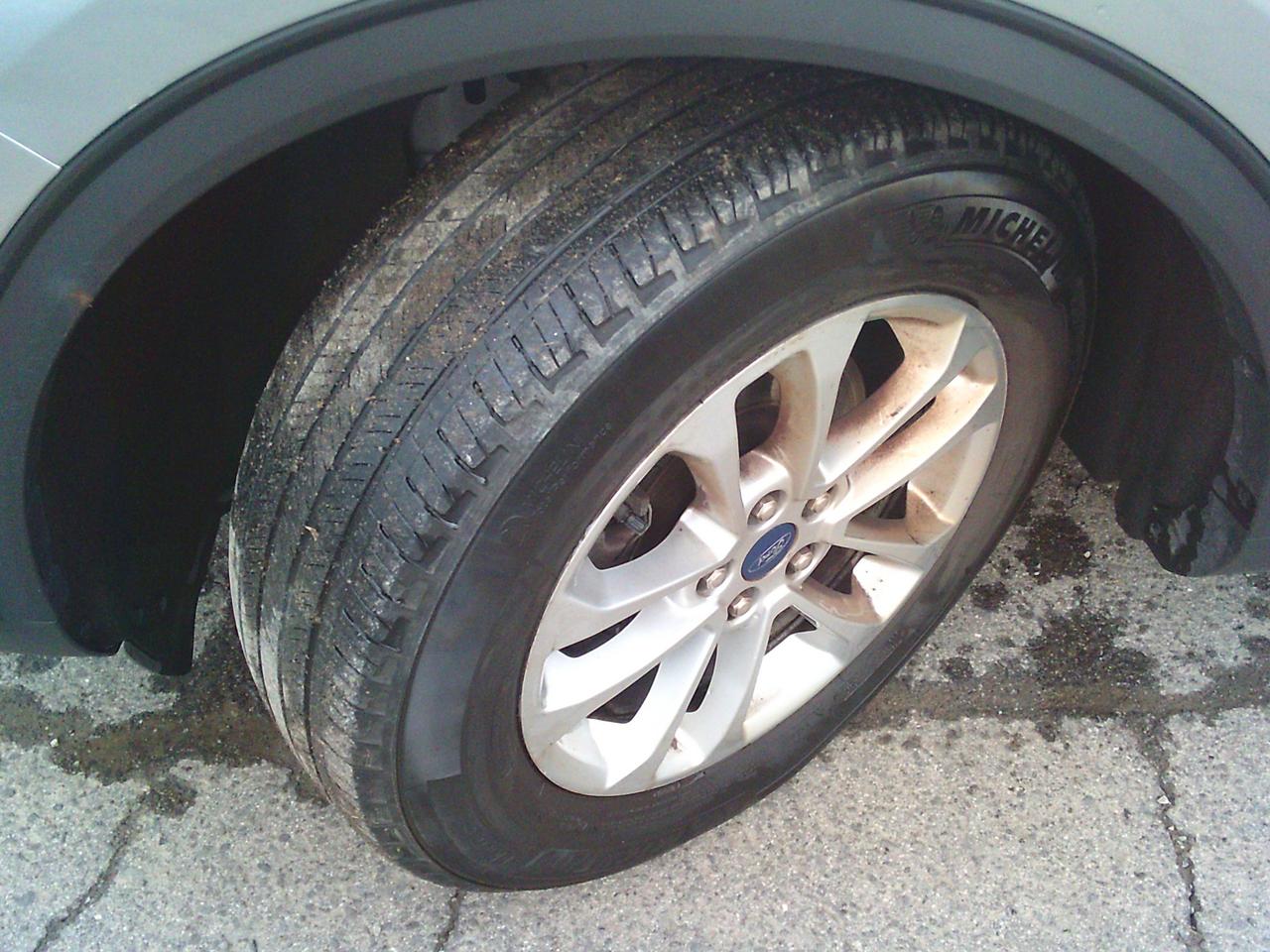 2021 Ford Escape SE Photo