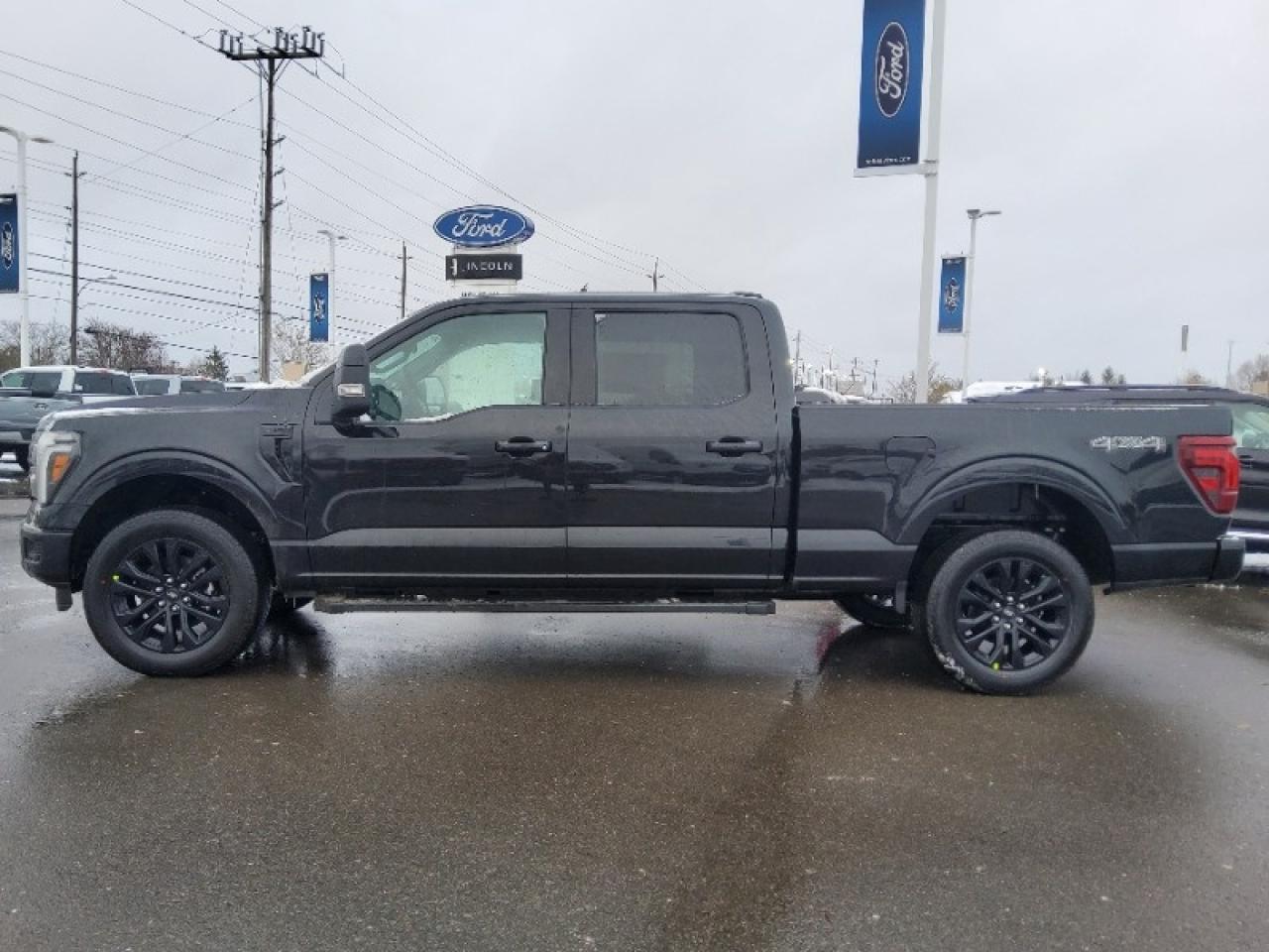 2025 Ford F-150 XLT Photo2