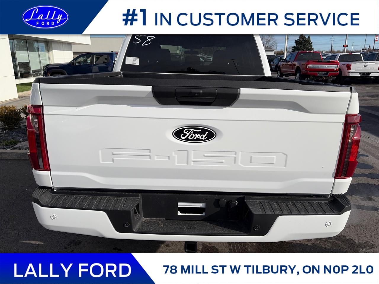 2025 Ford F-150 STX Photo3