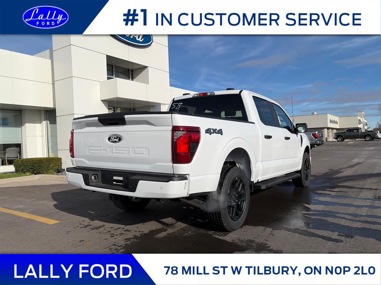 2025 Ford F-150 STX Photo