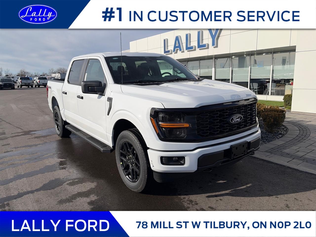 2025 Ford F-150 STX Photo0