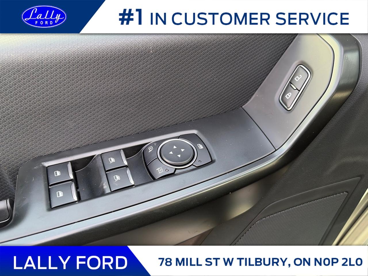 2025 Ford F-150 STX Photo