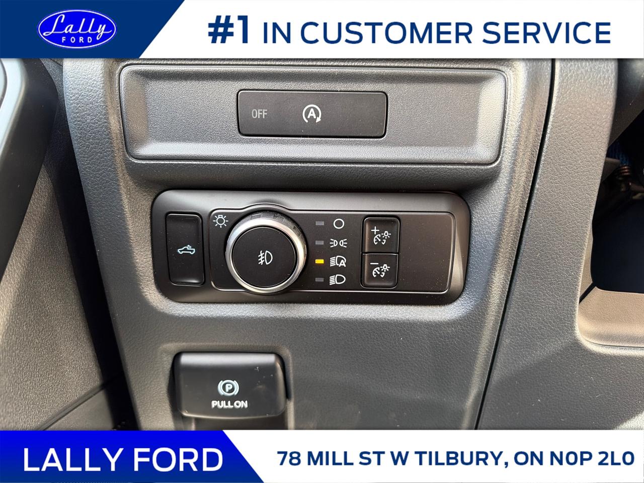 2025 Ford F-150 STX Photo