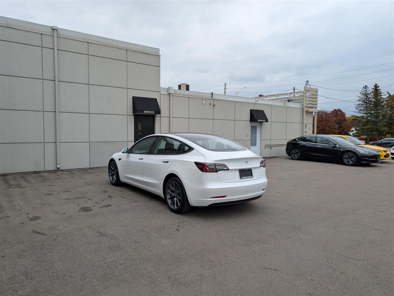 2022 Tesla Model 3 STANDARD Photo