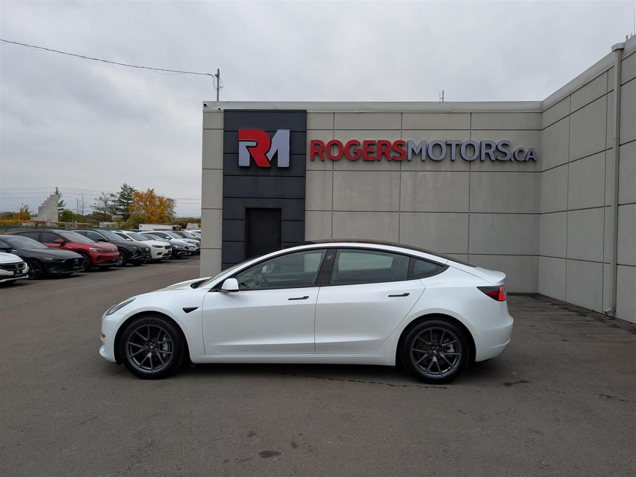 2022 Tesla Model 3 STANDARD Photo