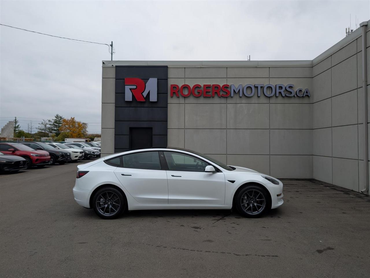 2022 Tesla Model 3 STANDARD Photo