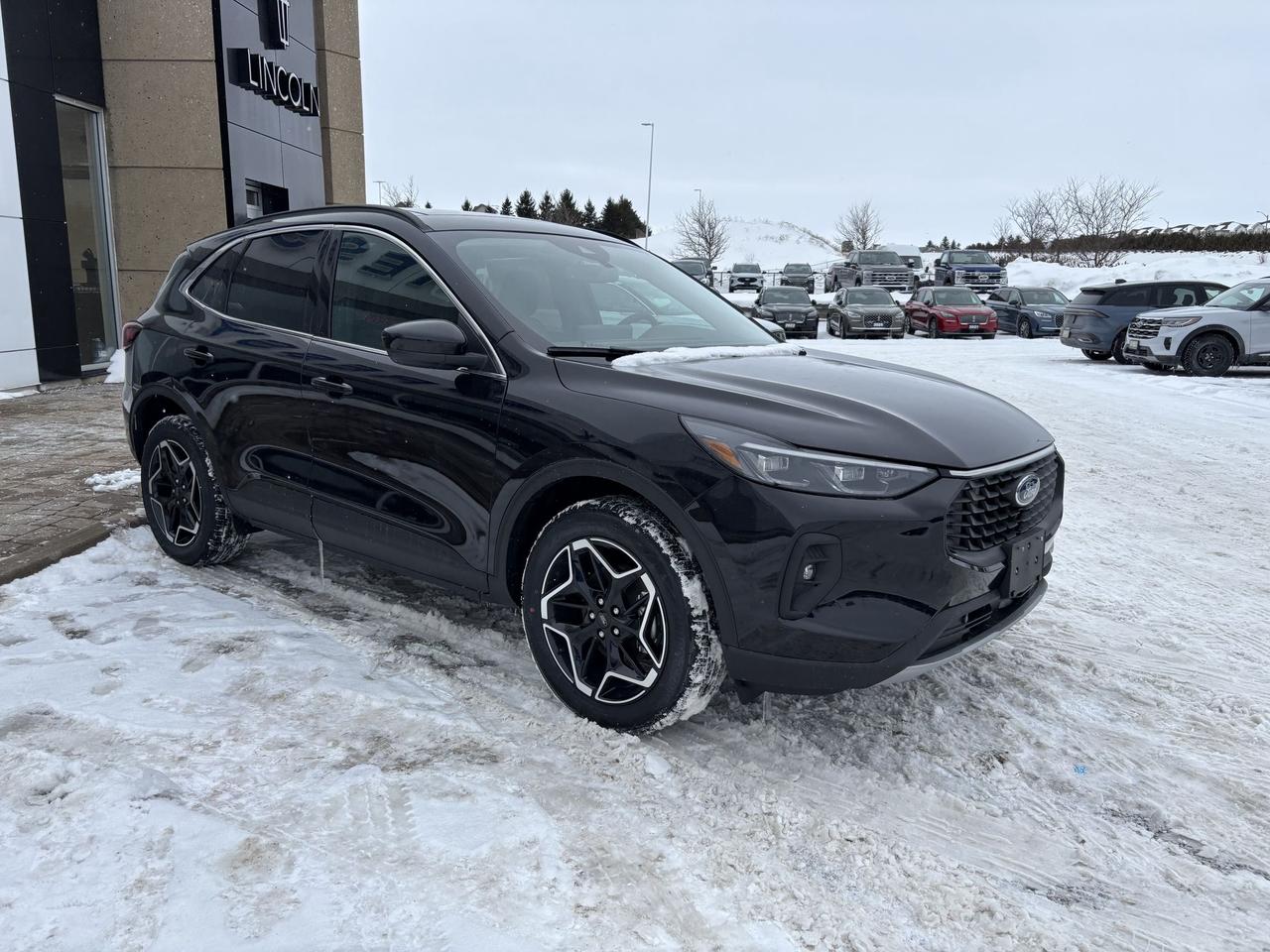 2026 Ford Escape PLATINUM, PANORAMIC ROOF, ADAPTIVE CRUISE Photo2