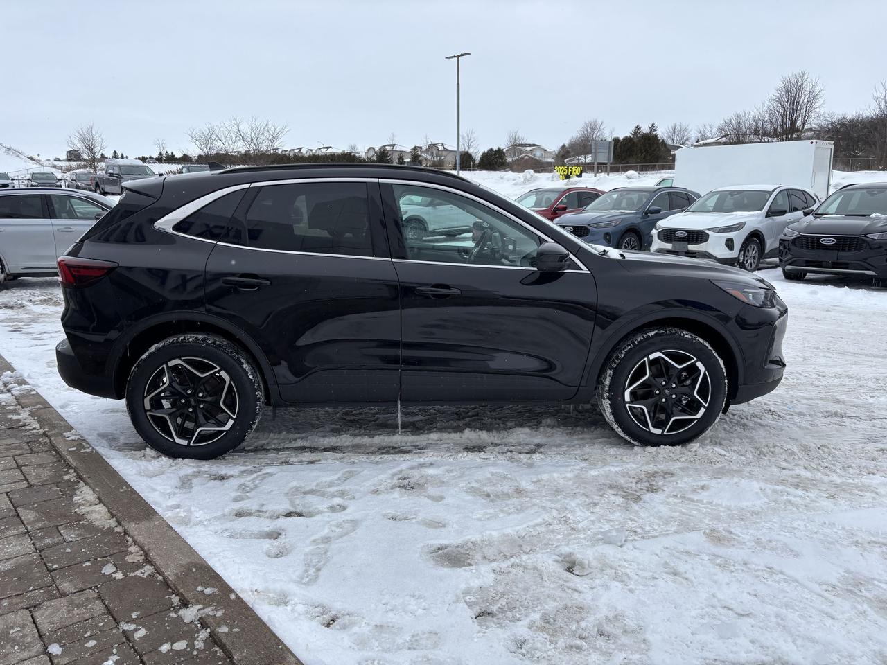 2026 Ford Escape PLATINUM, PANORAMIC ROOF, ADAPTIVE CRUISE Photo3