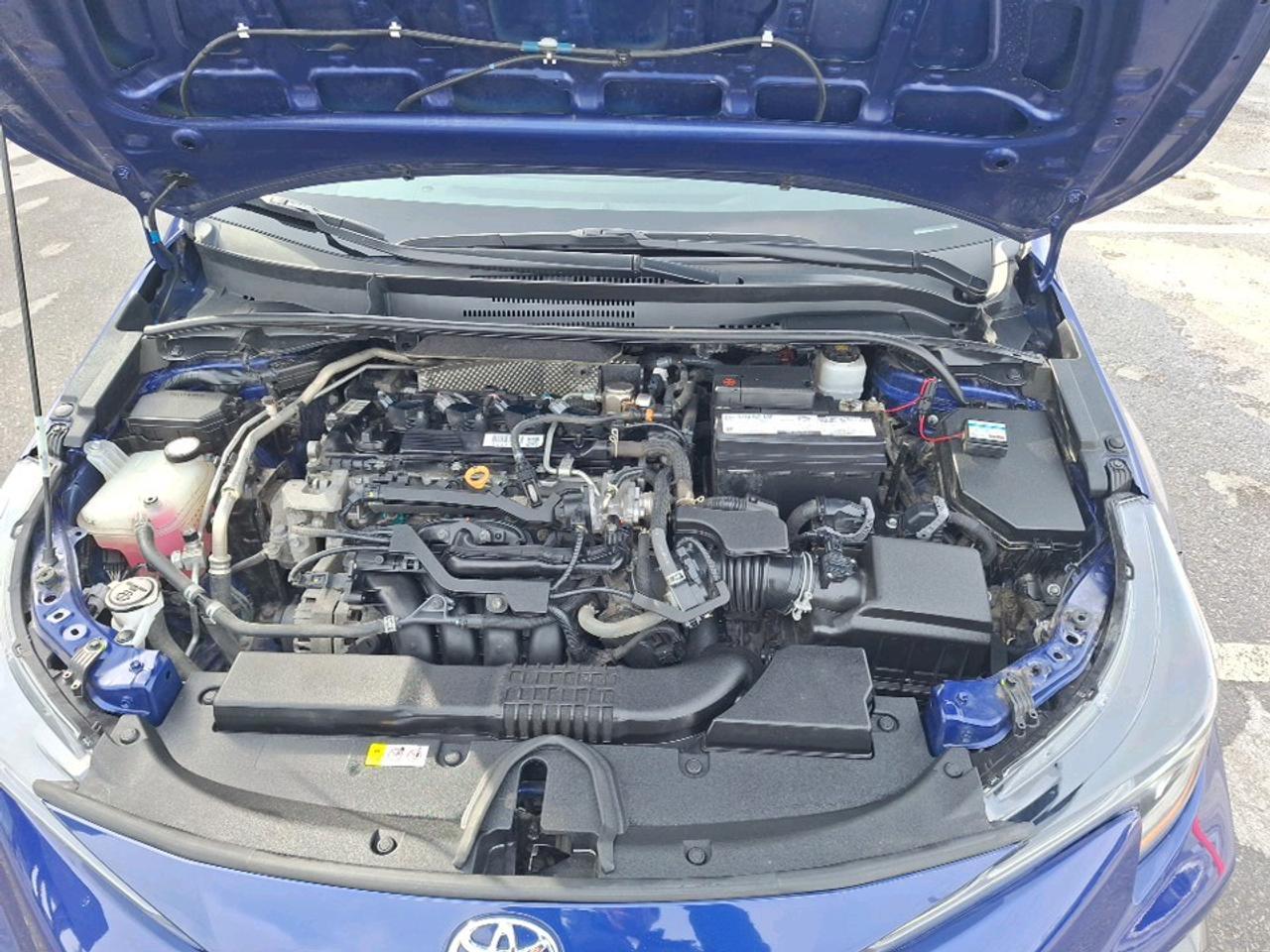 2022 Toyota Corolla SE Photo