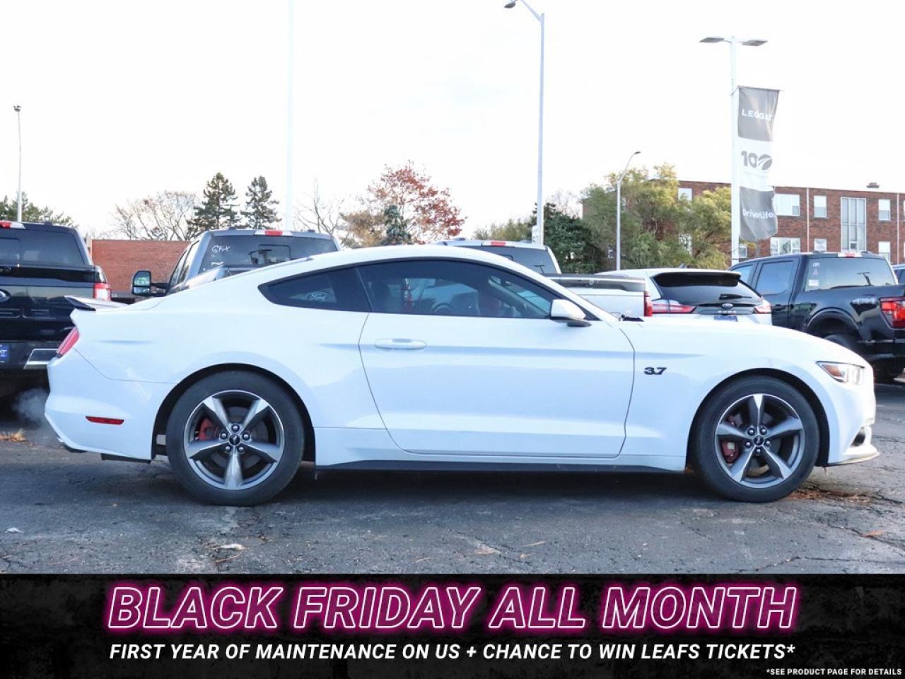 2016 Ford Mustang V6 | AUTO | GREAT SHAPE! | 18s Photo