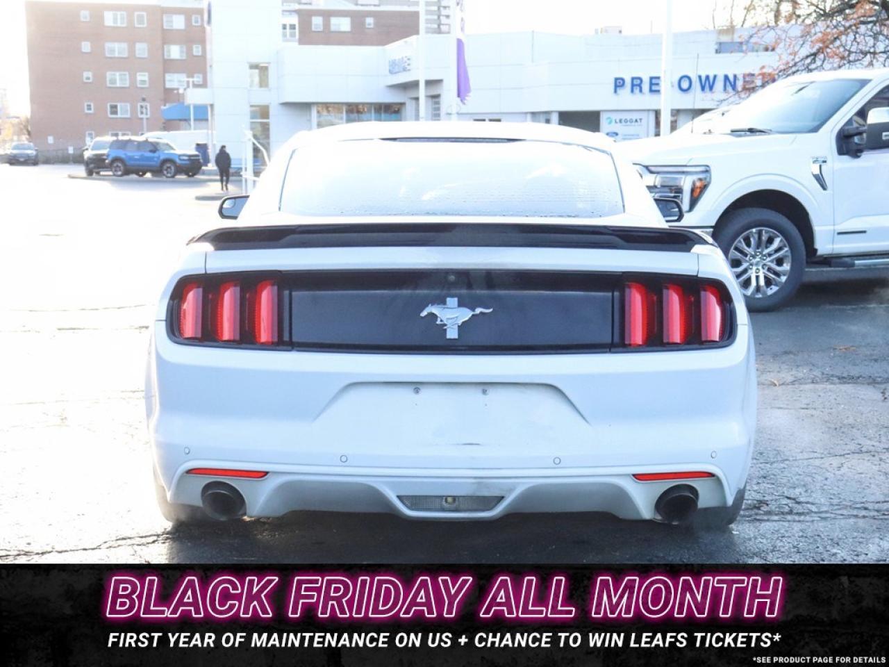 2016 Ford Mustang V6 | AUTO | GREAT SHAPE! | 18s Photo3