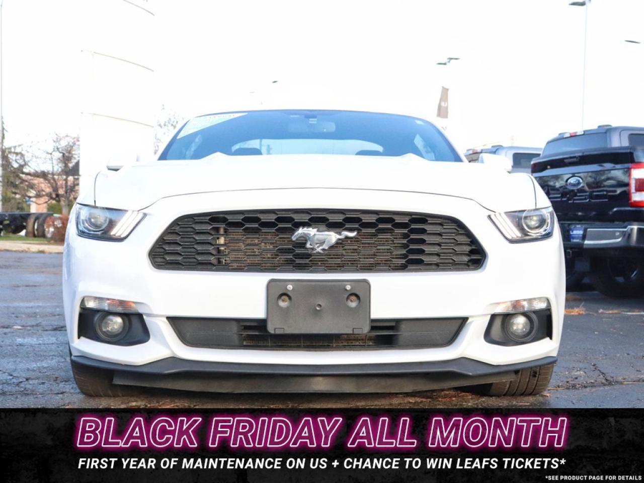 2016 Ford Mustang V6 | AUTO | GREAT SHAPE! | 18s Photo