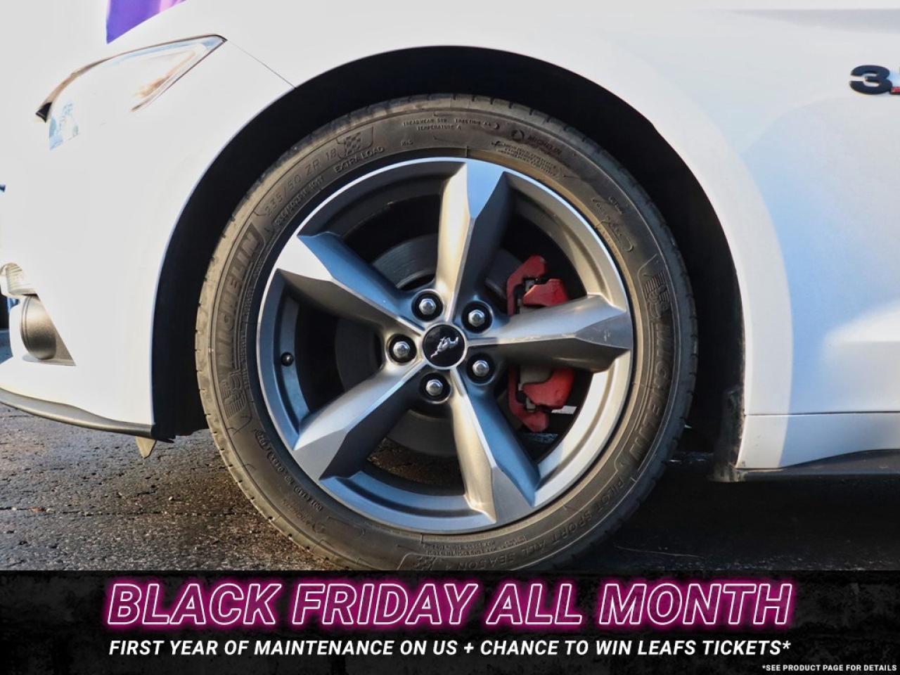 2016 Ford Mustang V6 | AUTO | GREAT SHAPE! | 18s Photo