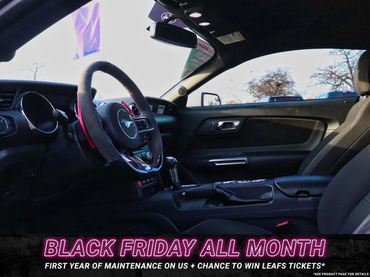 2016 Ford Mustang V6 | AUTO | GREAT SHAPE! | 18s Photo