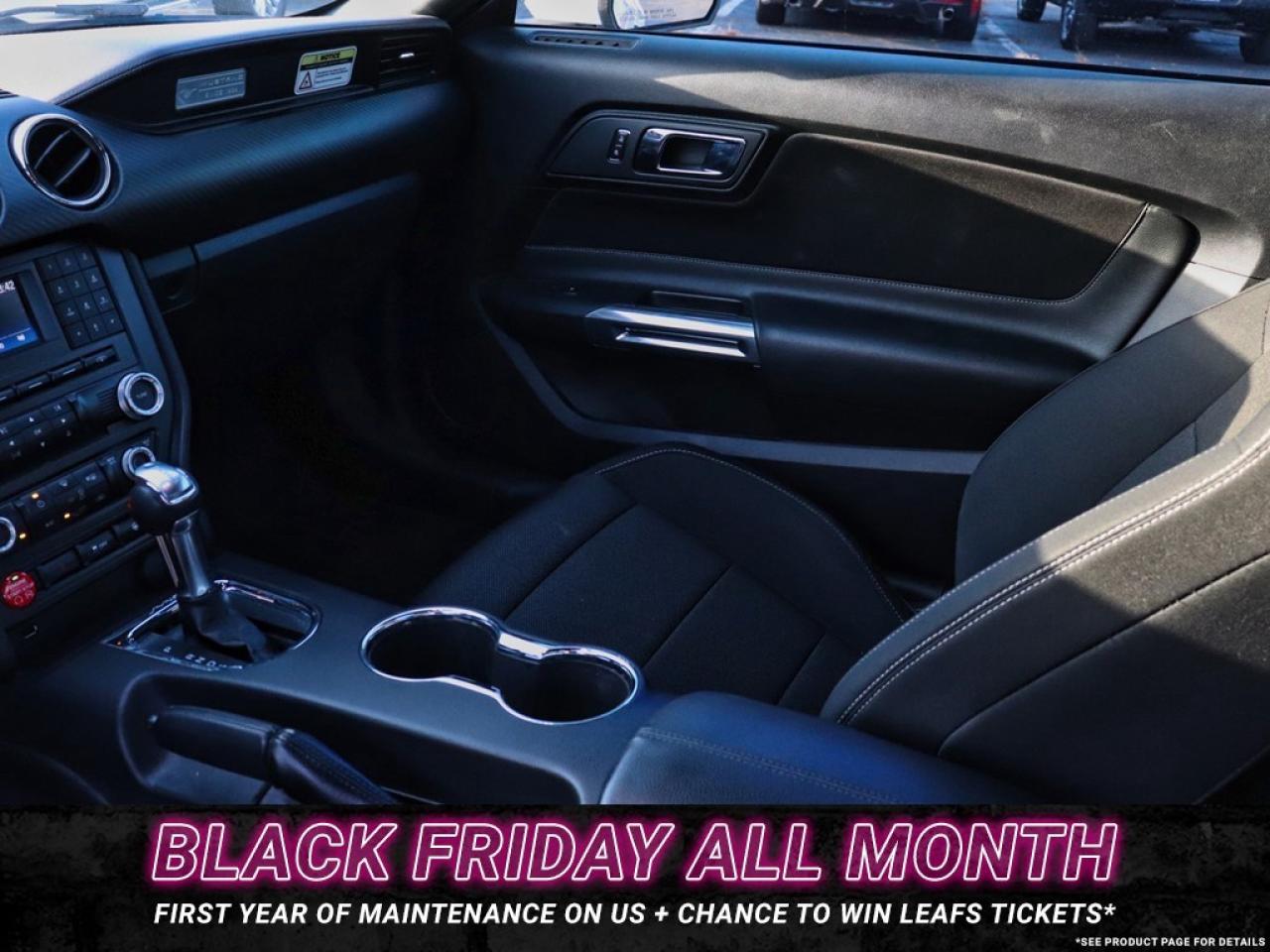 2016 Ford Mustang V6 | AUTO | GREAT SHAPE! | 18s Photo