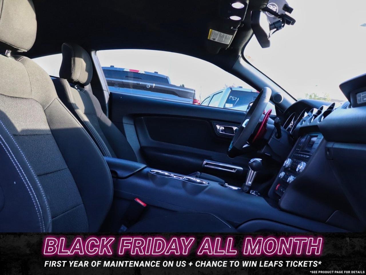 2016 Ford Mustang V6 | AUTO | GREAT SHAPE! | 18s Photo