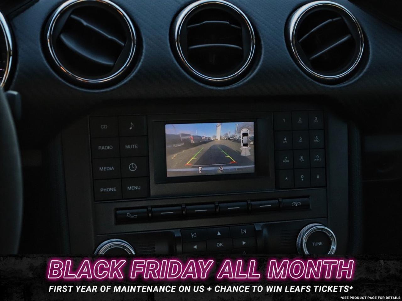 2016 Ford Mustang V6 | AUTO | GREAT SHAPE! | 18s Photo