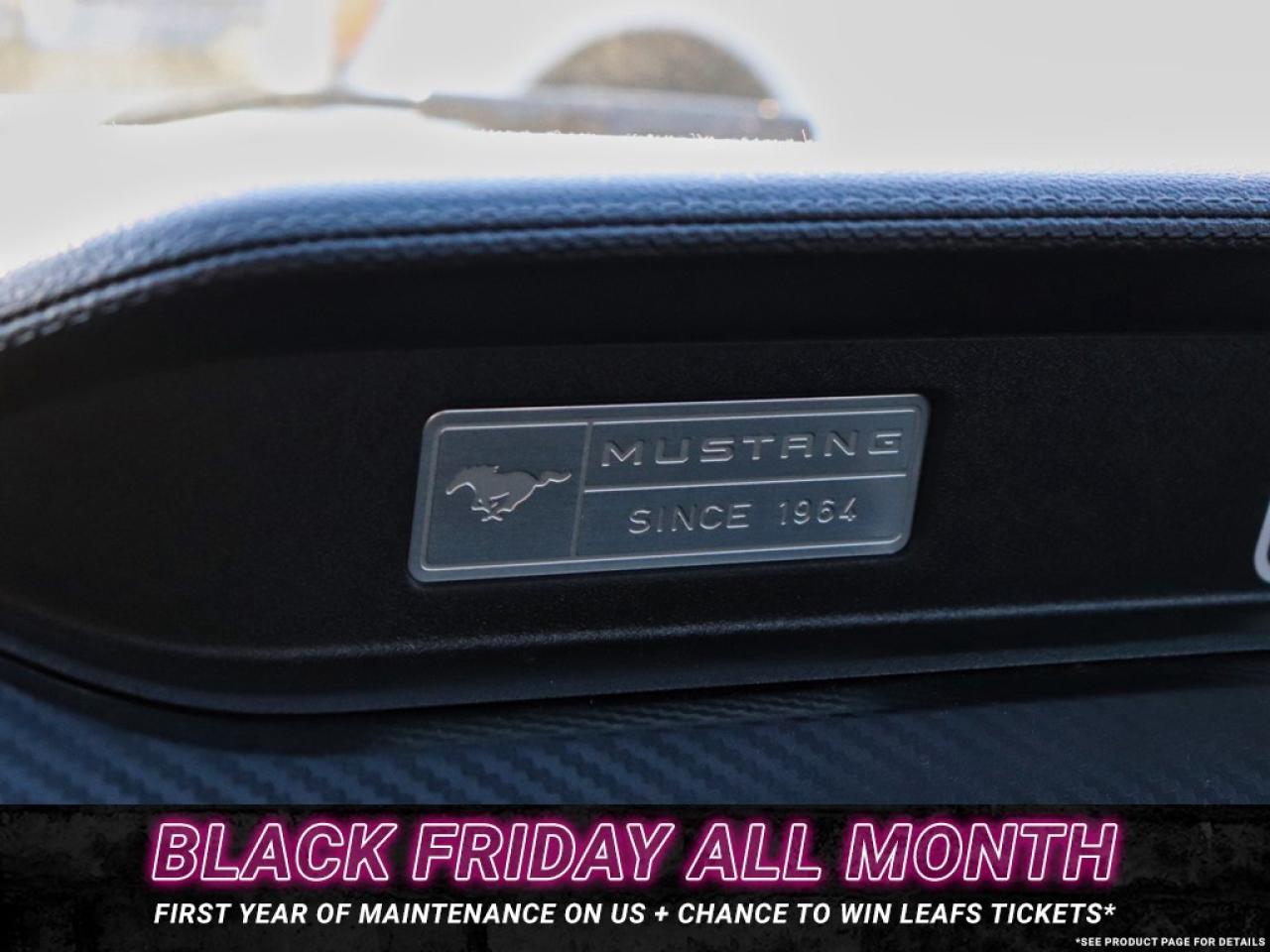 2016 Ford Mustang V6 | AUTO | GREAT SHAPE! | 18s Photo