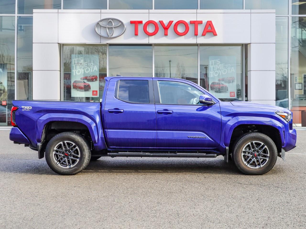 2024 Toyota Tacoma  Photo