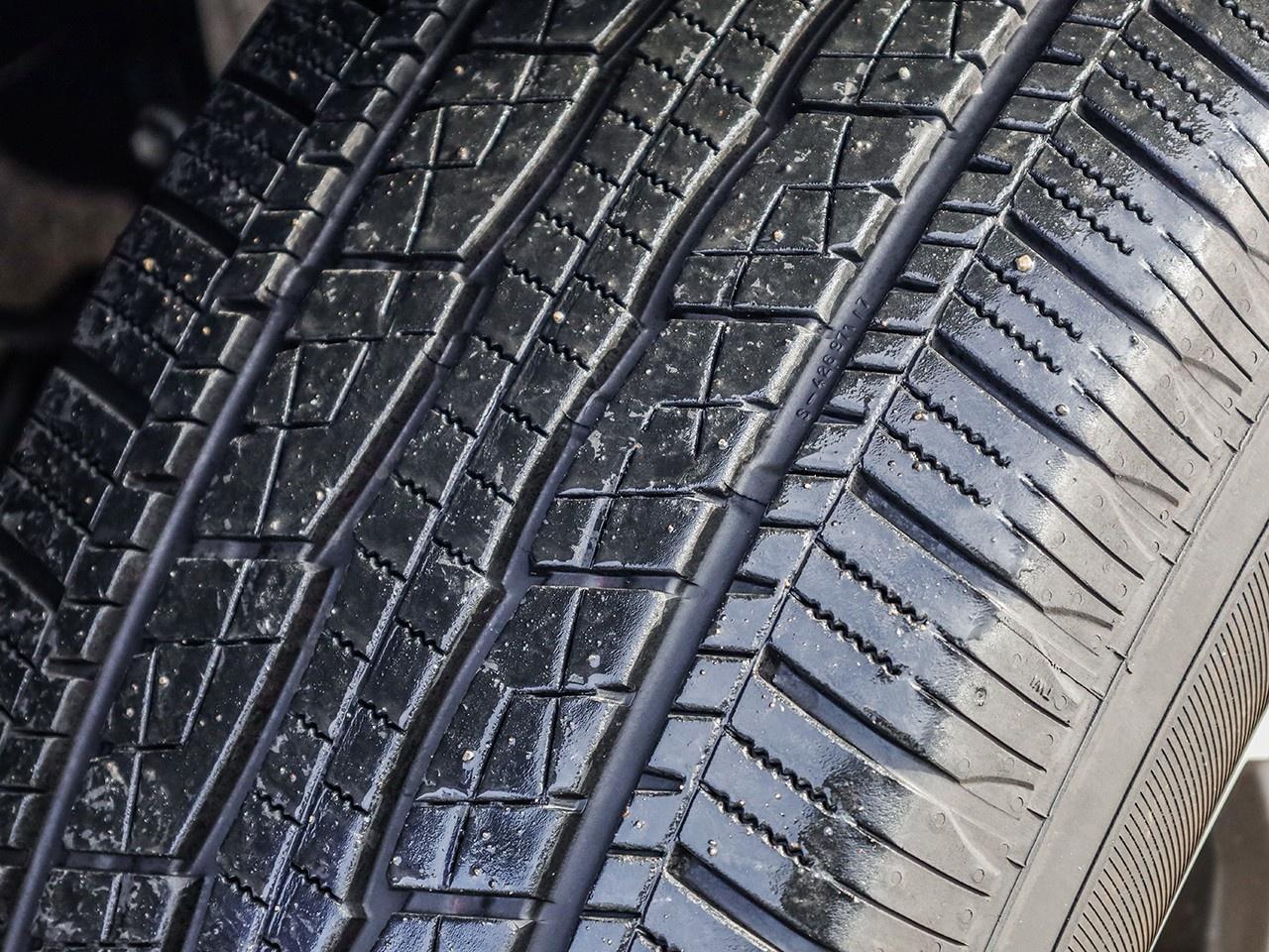 2024 Toyota Tacoma  Photo