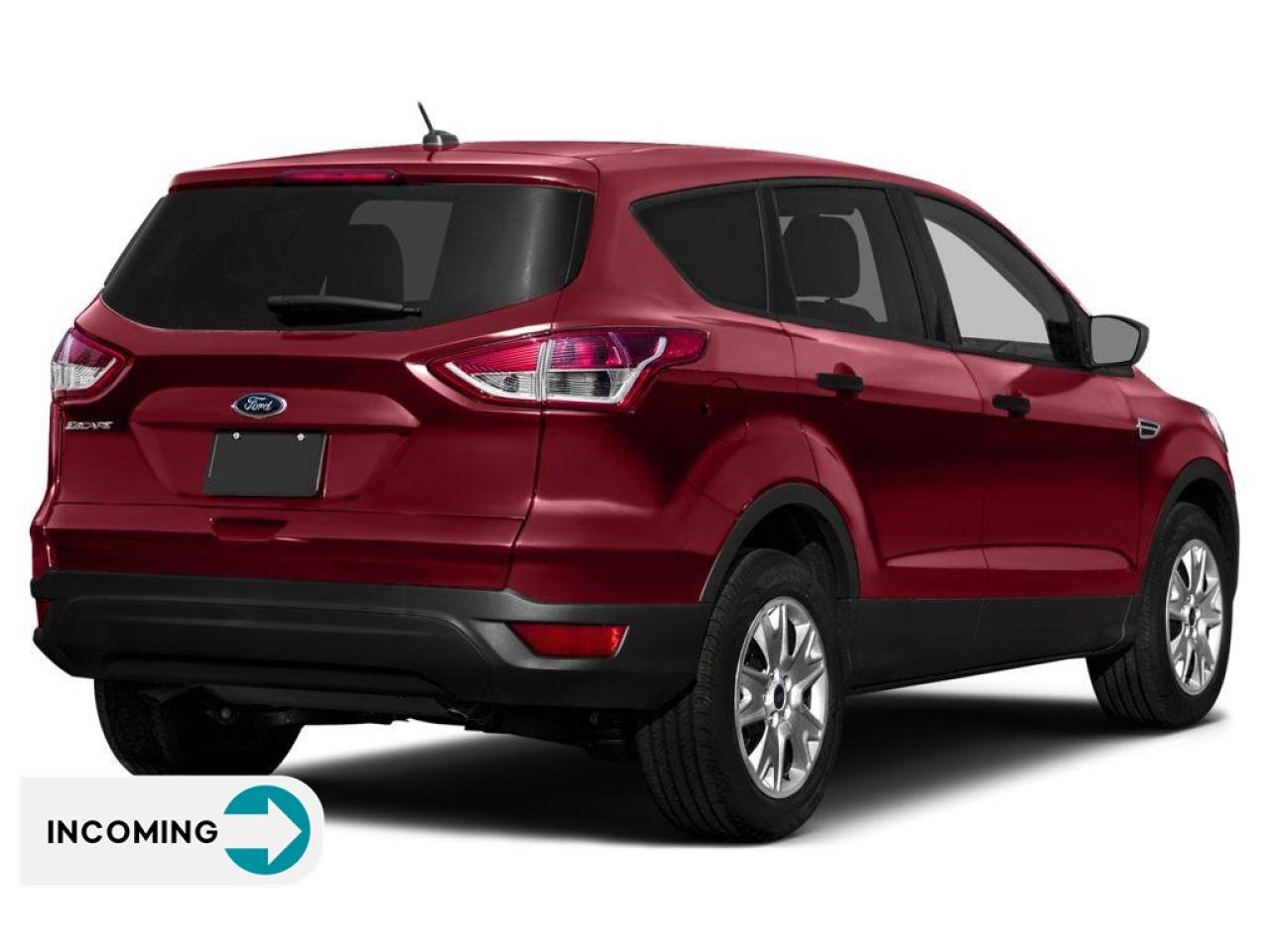 2013 Ford Escape SE 200A | ACCIDENT FREE Photo