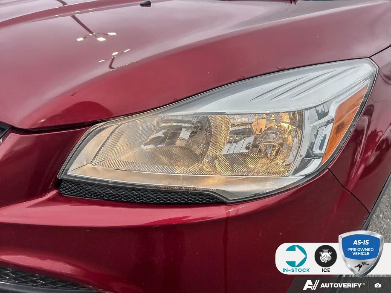 2013 Ford Escape SE 200A | ACCIDENT FREE Photo