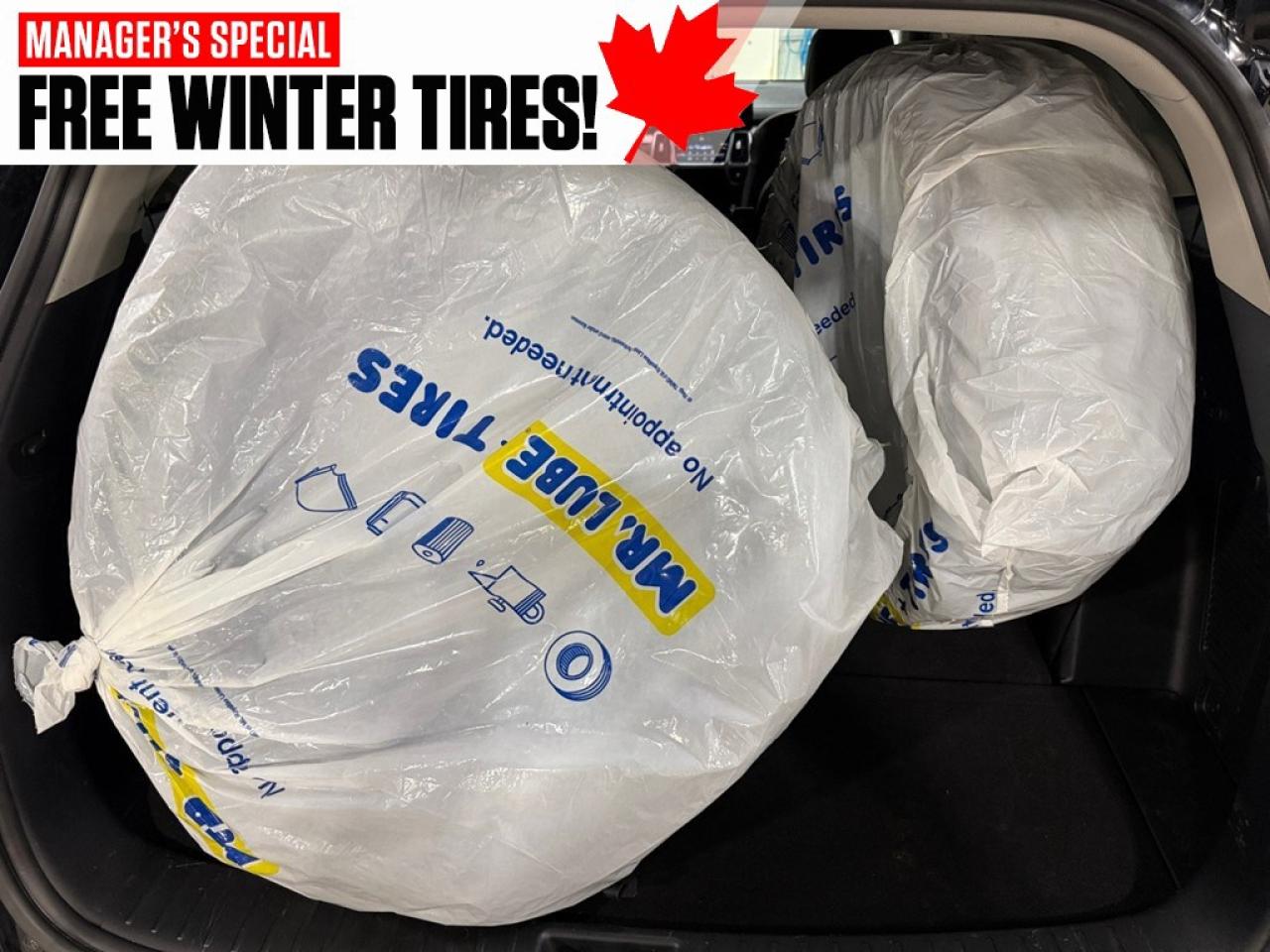 2022 Kia Sorento HEV EX AWD Photo