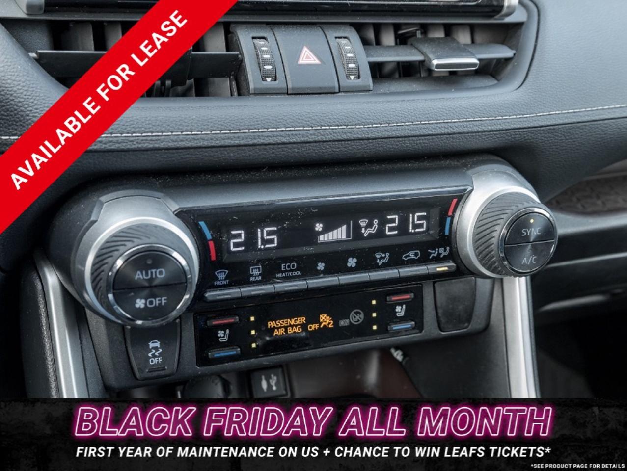 2019 Toyota RAV4 AWD LIMITED Photo