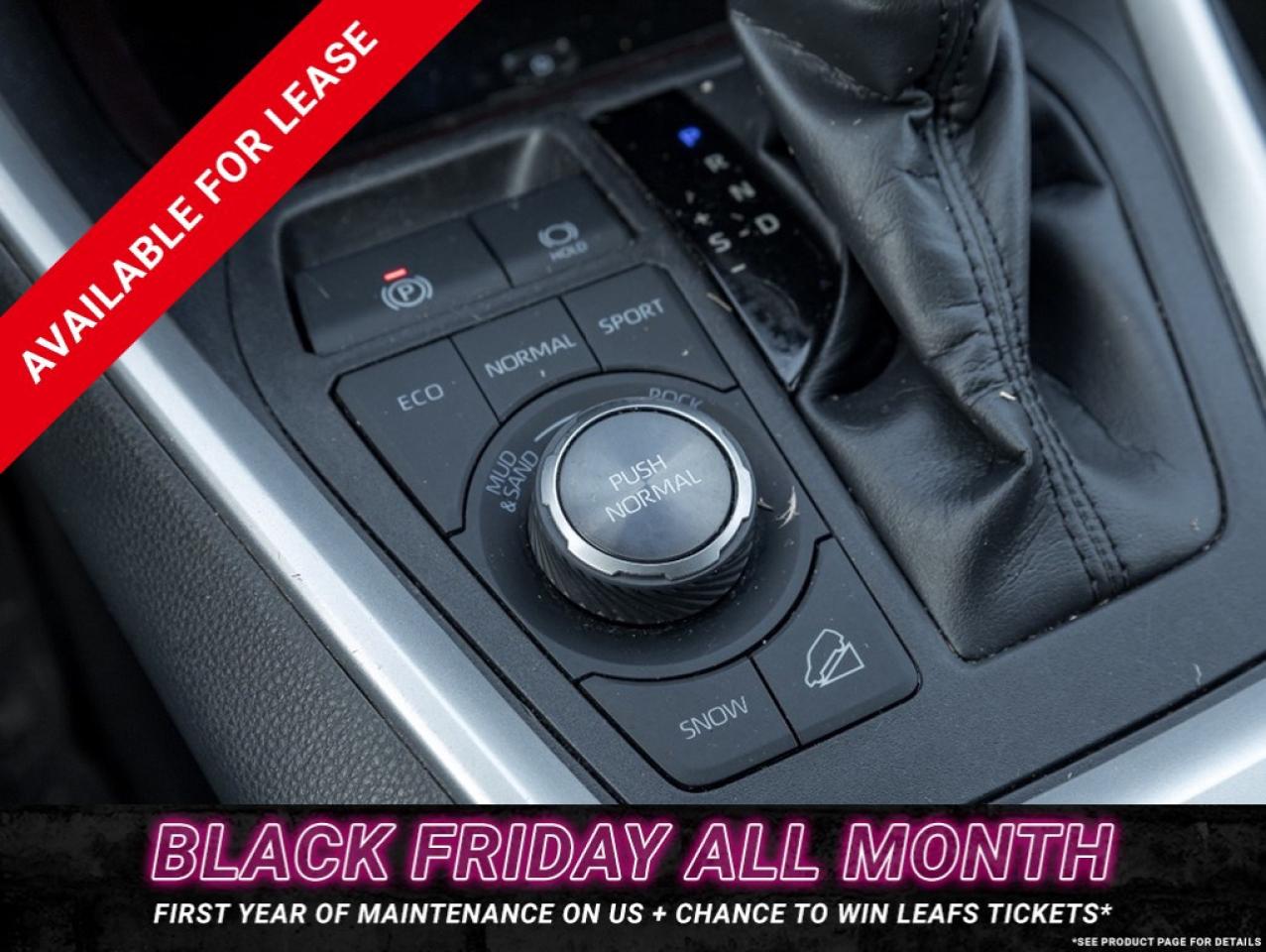 2019 Toyota RAV4 AWD LIMITED Photo