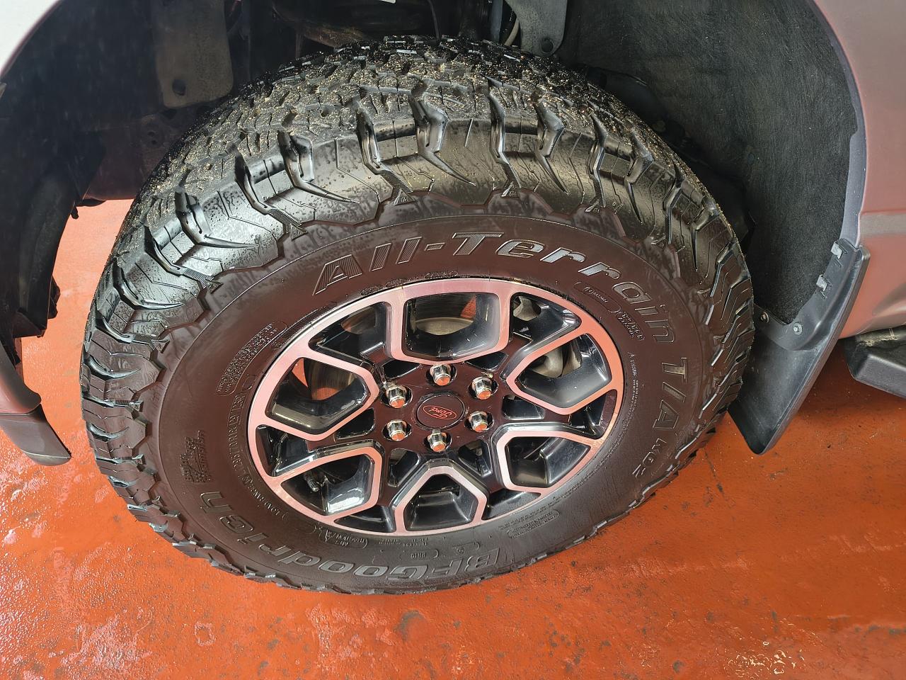 2022 Ford F-150 XLT 4WD SuperCrew 5.5' Box Photo0