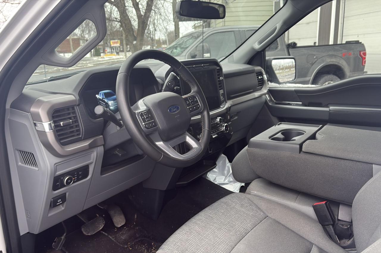 2024 Ford F-150 XLT - Photo #8