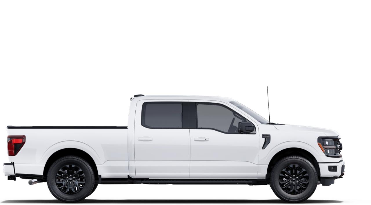 2025 Ford F-150 XLT Photo5