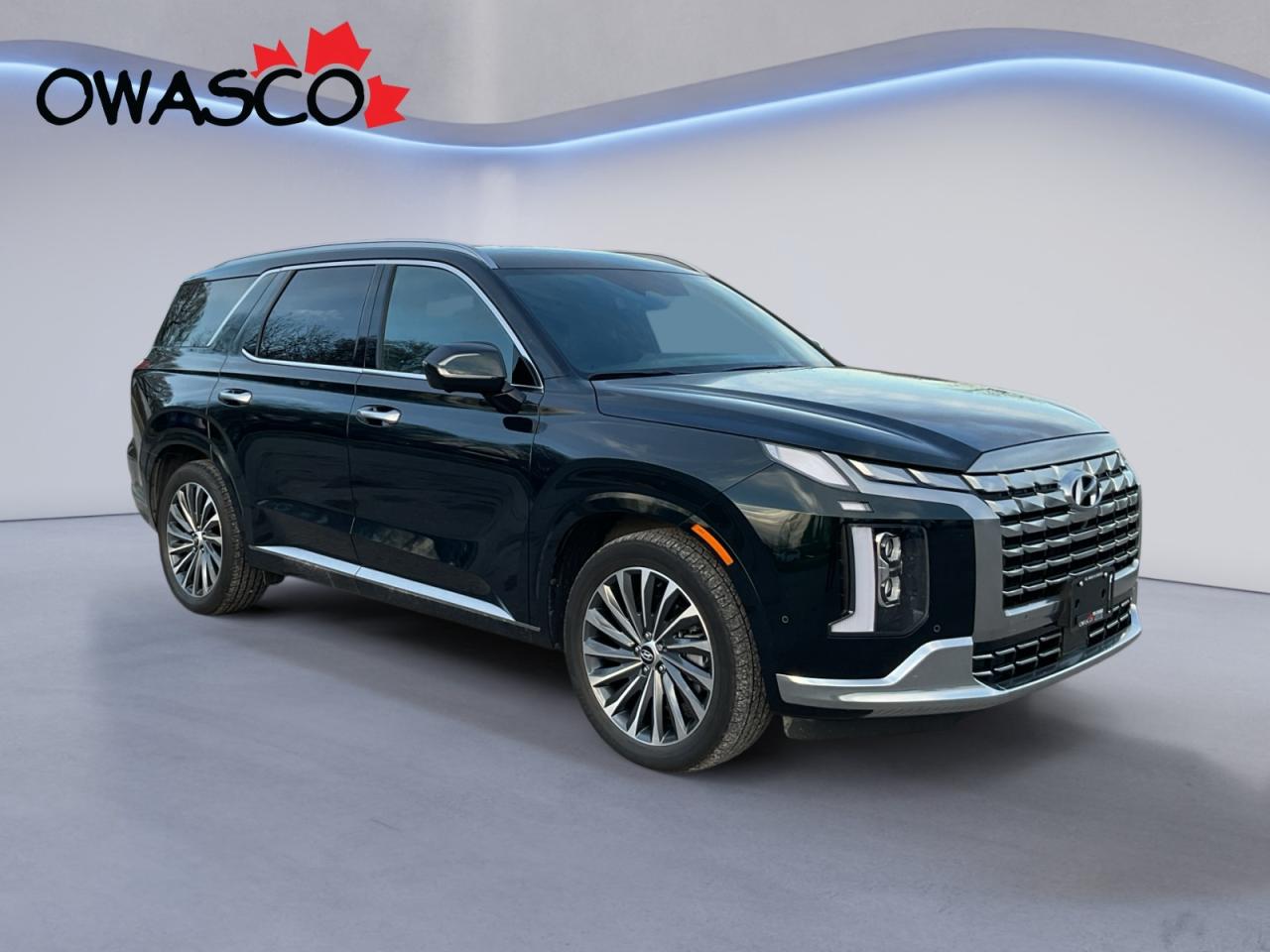 2024 Hyundai PALISADE 3.8L Great kms! 7 Seater! Loaded! One Owner! Photo