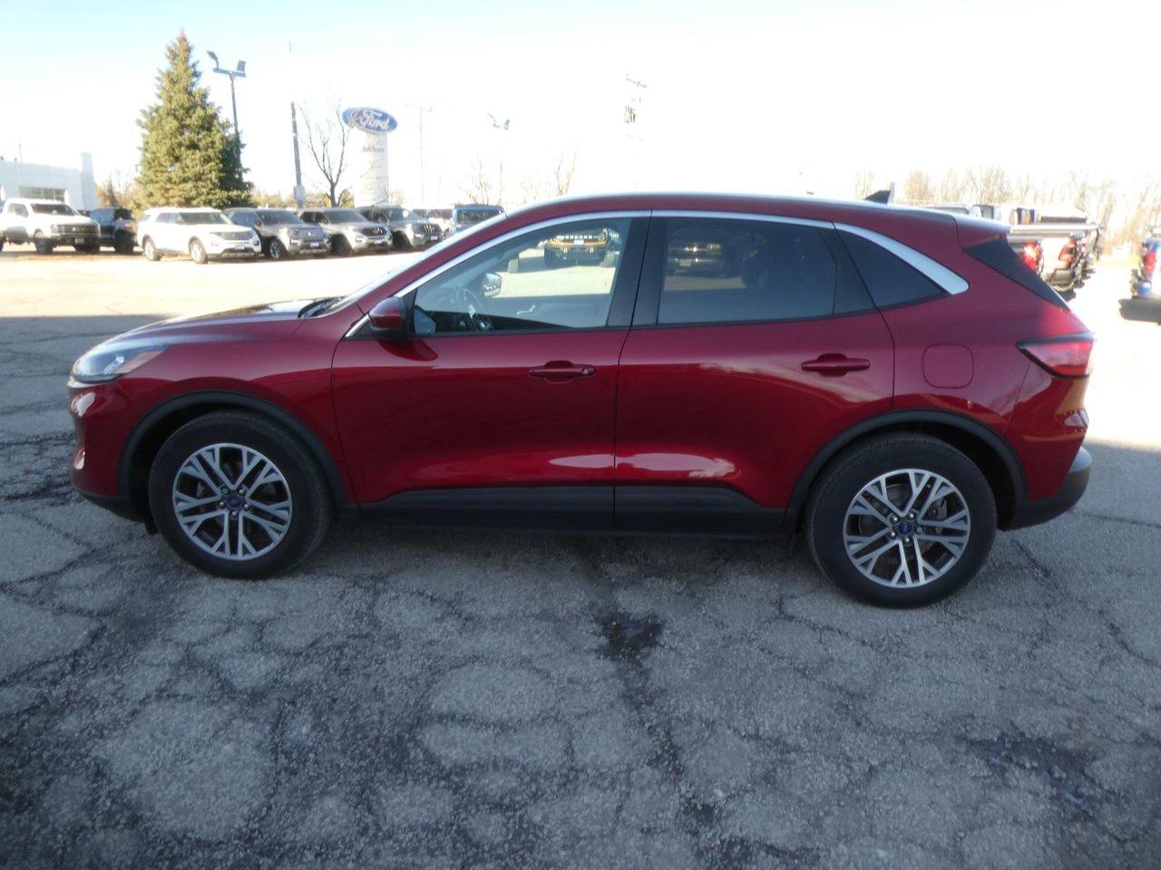 2022 Ford Escape SEL SEL Photo