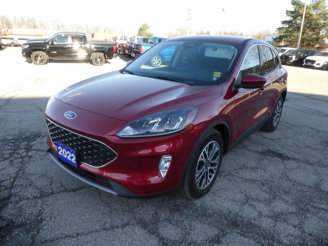 Used 2022 Ford Escape SEL SEL for sale in Essex, ON