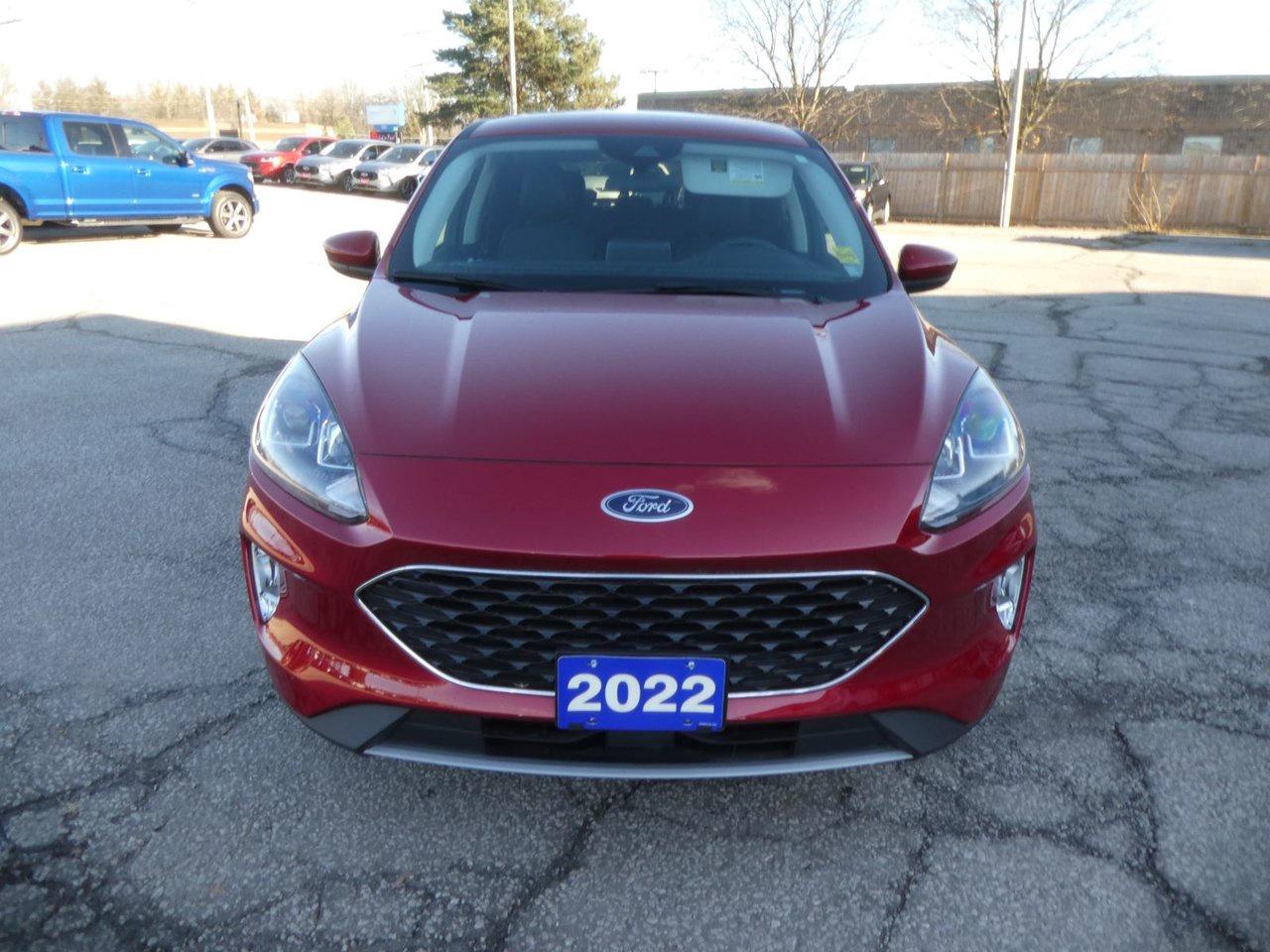 2022 Ford Escape SEL SEL Photo