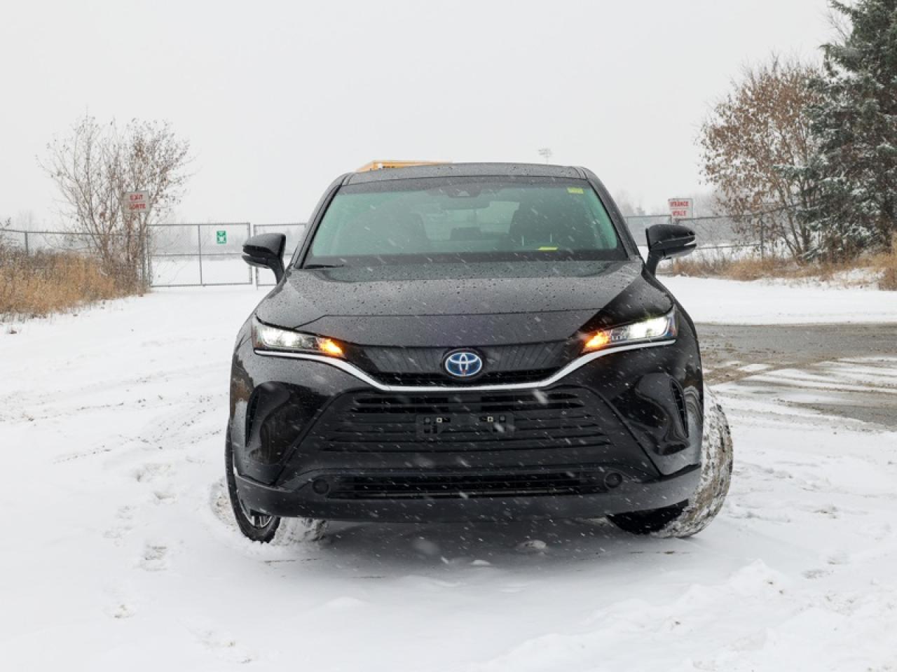 2024 Toyota Venza LE  - $278 B/W Photo