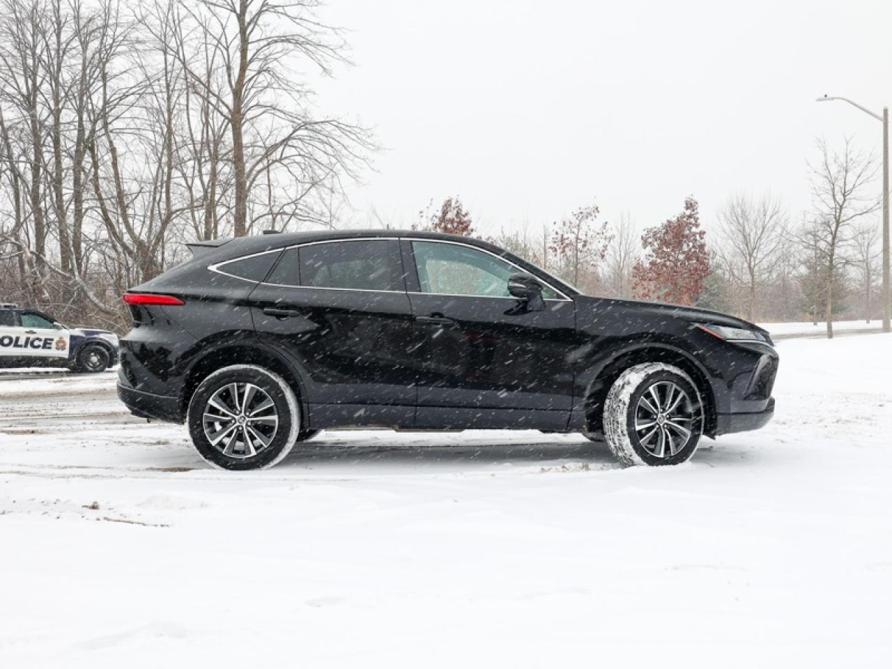 2024 Toyota Venza LE  - $278 B/W Photo