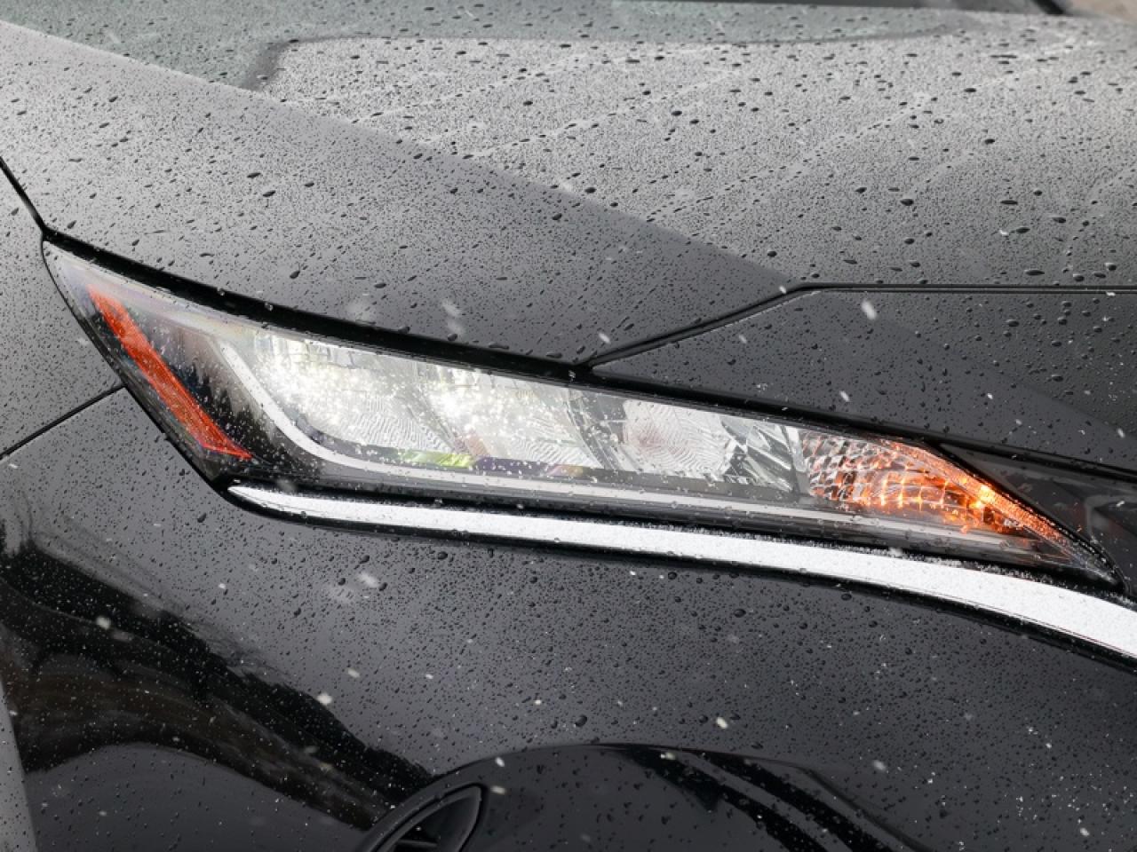 2024 Toyota Venza LE  - $278 B/W Photo